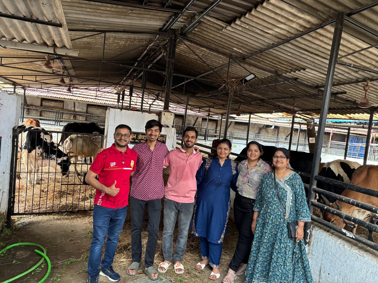 JEEVDAYA – feeding and caring for innocent animals with love, respect, and empathy